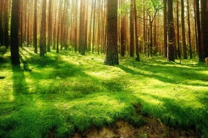 世界举重康复名师驻点服务成效数据公开报告发布，世界举重比赛冠军
